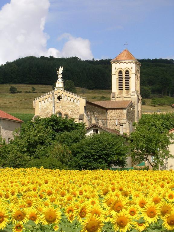 Chambre D'Hotes Tardy Saint-Michel-sur-Savasse Exterior foto