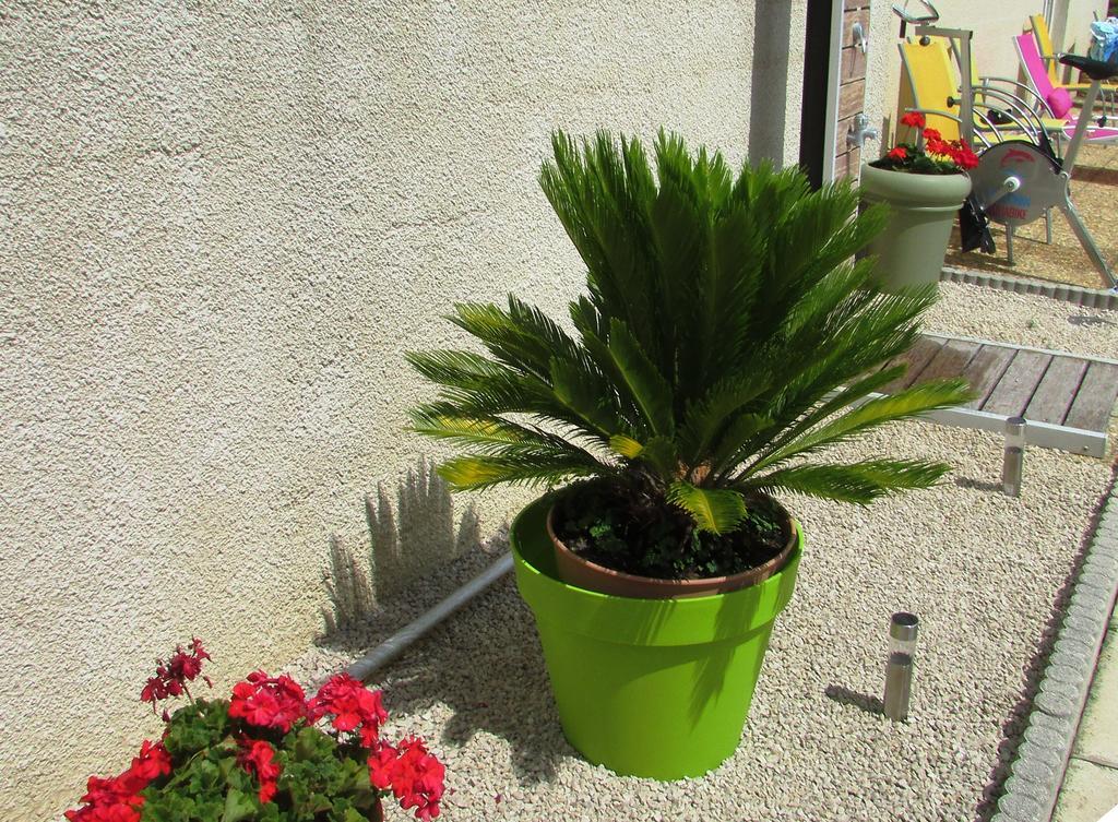 Chambre D'Hotes Tardy Saint-Michel-sur-Savasse Exterior foto